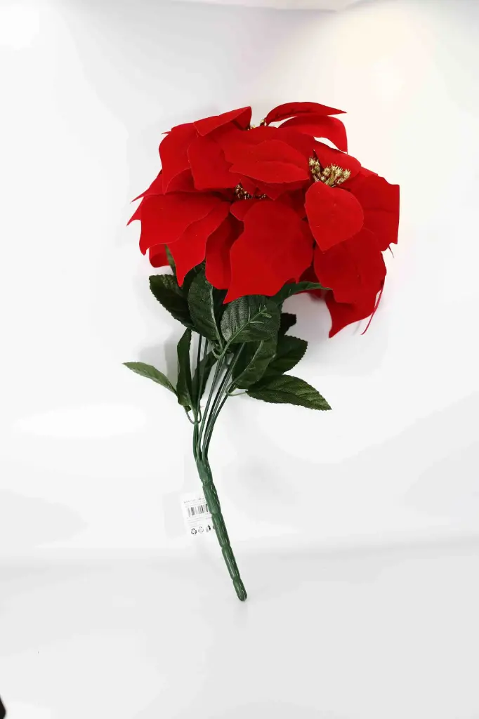 Vánoční hvězda A10853