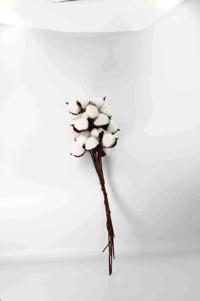 Větev s balnou A10905