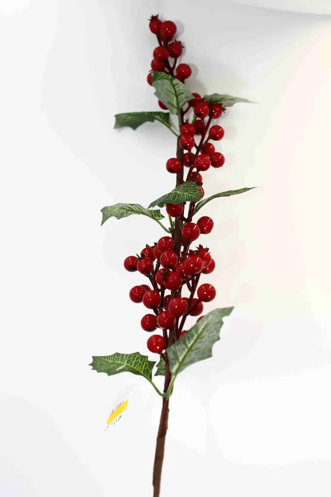 Nhánh giáng sinh A10547