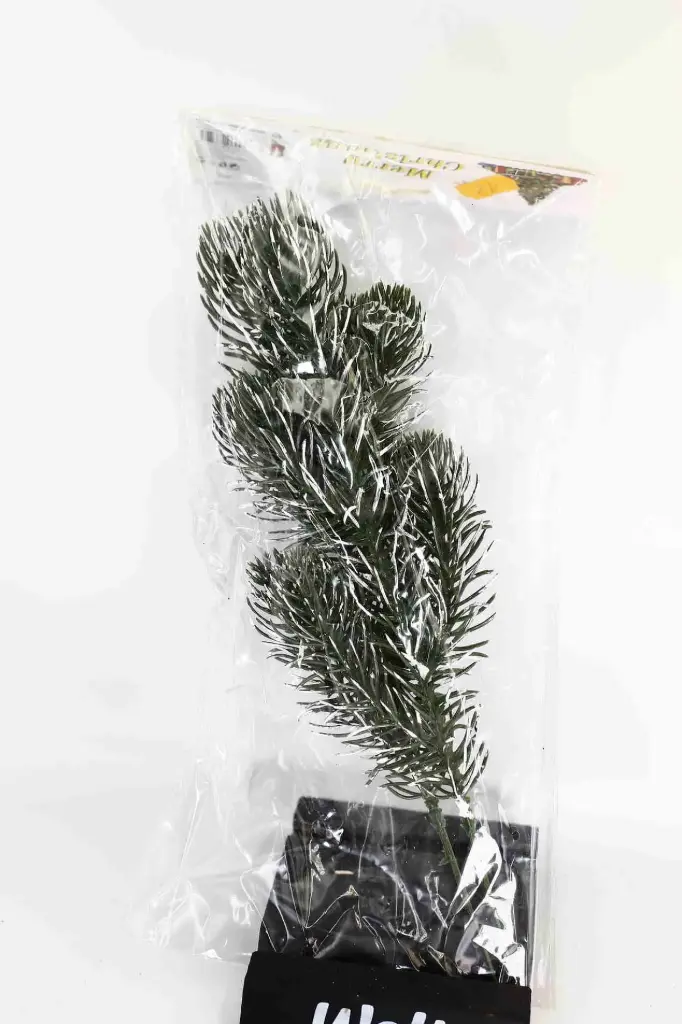 Decorative twig A6995