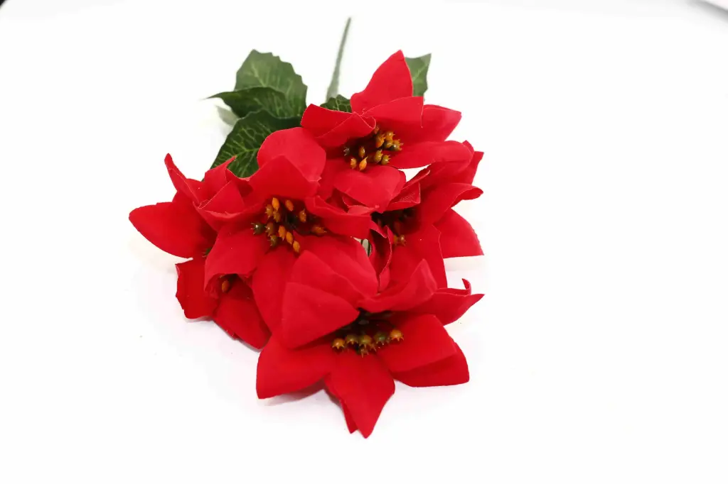 Trạng Nguyên A1670