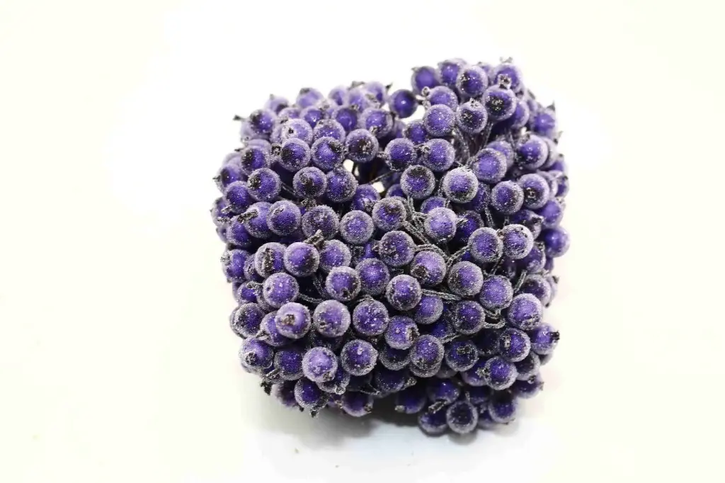 Quả mọng trang trí A6706