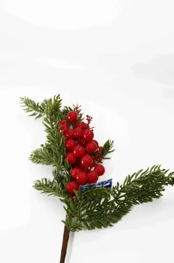 Vánční větevA10619