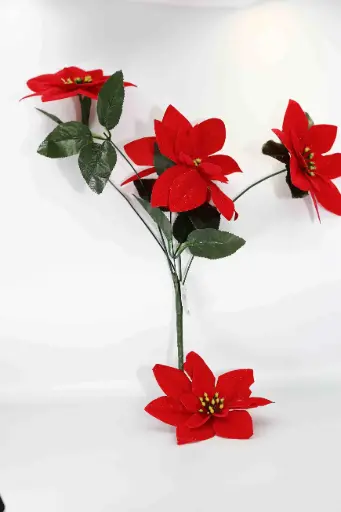 Vánoční hvězda 10851