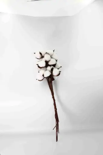 Větev s balnou A10905