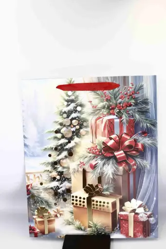 Gift bag A11168