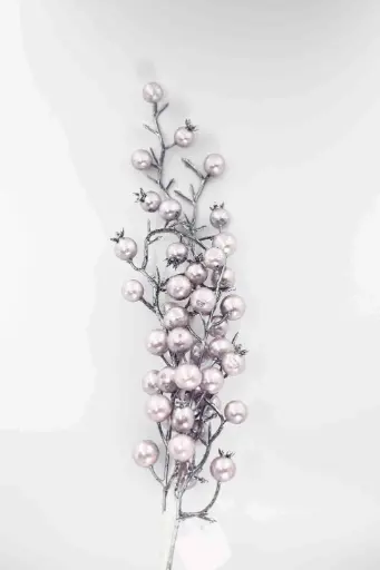 Christmas dowry A10527