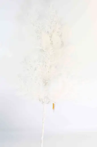 Vòng hoa giáng sinh A10557