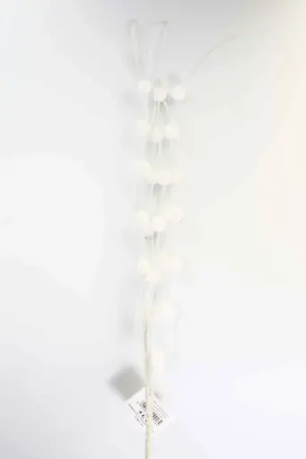 Giáng sinh kvetinyh18