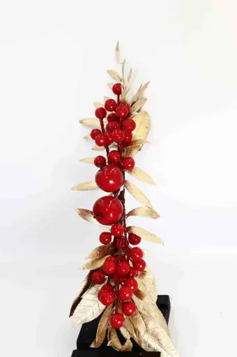 Chi Nhánh Giáng Sinh